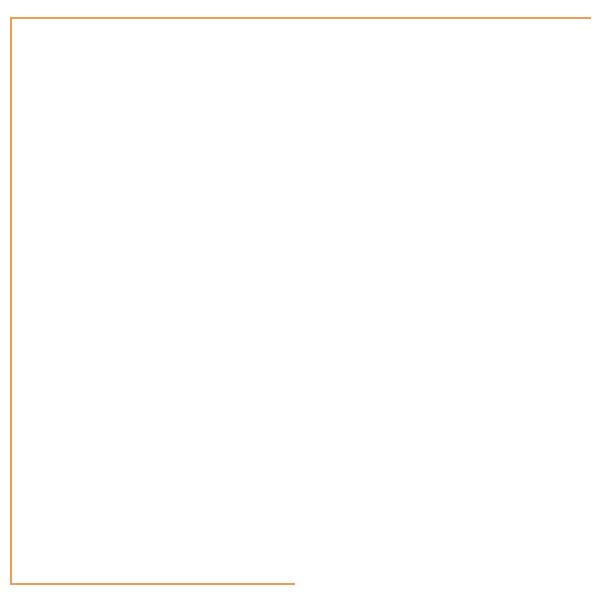 orange border left